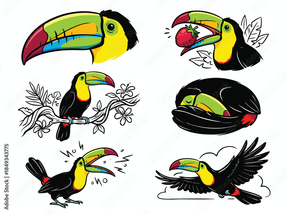 Obraz premium Collection of Toucan Illustrations in Various Poses and Activities.
