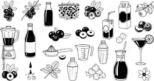 Hand-drawn black and white vector illustration set of blueberries, juice, cocktail ingredients, and kitchen tools for fresh drink recipes.