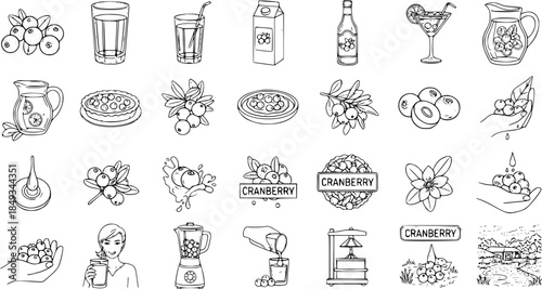Cranberry Doodle Icons: Juice, Pie, Fruit, and More - Hand-Drawn Vector Set