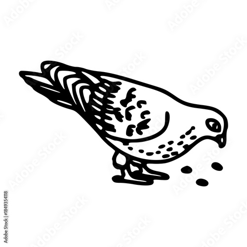outline illustration of pigeon eating seeds