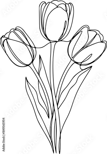 Three tulips on stems in continuous one line art style. Flower bouquet sketch with editable black stroke on white background. Vector illustration.
