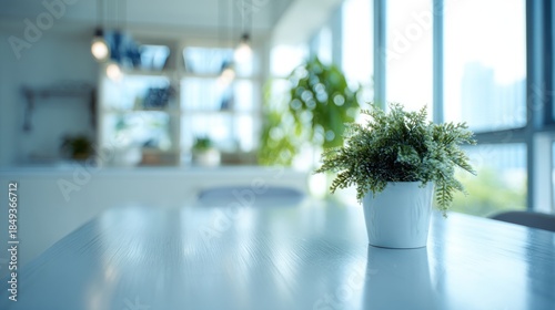 Indoor plant on a bright table with minimalist and modern interior design style