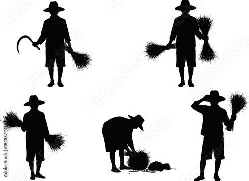 Farmers in Sun Hats Harvesting Rice or Wheat Crop Silhouettes Vector Illustration, Traditional Agricultural Laborers Holding Sheaves and Sickles, Manual Harvest and Field Work Background.