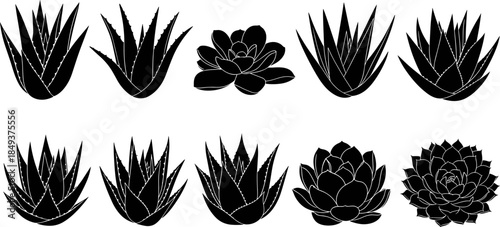 Black and White Succulent and Aloe Vera Vector Silhouettes, Botanical Agave Cactus Plants Graphic Collection for Decoration, Skincare, and Home Decor, 