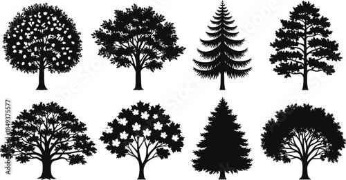 Black and White Tree Vector Silhouettes Collection, Deciduous, Maple, Pine, and Oak Tree Graphic Set for Nature, Forest, Park, Environment, and Landscape Design.