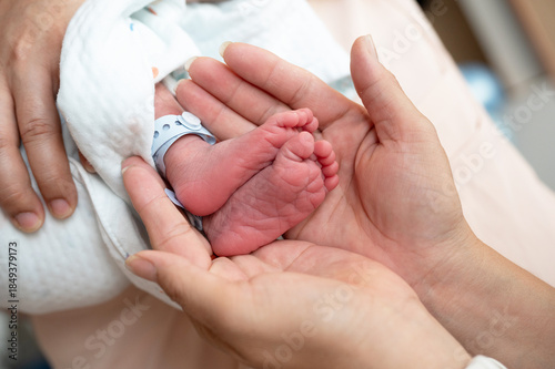 Close up of newborn baby feet on female hands
