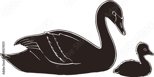 Beautiful swan and duckling silhouette vector illustration, elegant bird family design, peaceful nature scene artwork, mother and baby bird outline concept