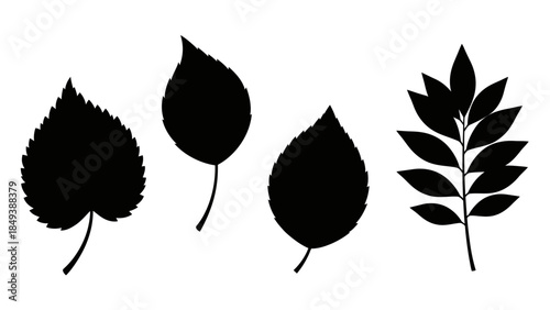 Collection of Black Silhouettes of Various Autumn Leaves on a White Background