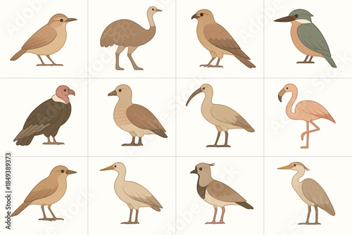 Argentinian Wild Birds Icon Grid with Hornero, Condor and Flamingo in Flat Vector
