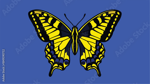 Beautiful yellow and blue butterfly with outstretched wings.