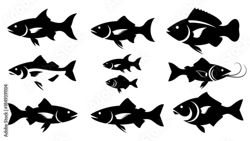 Collection of Silhouettes Featuring Various Types of Fish in a Grid Layout