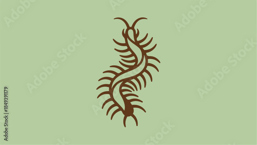 Centipede illustration on a light green background.