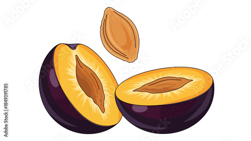 Vector illustration of a dark purple plum sliced in half with a floating pit