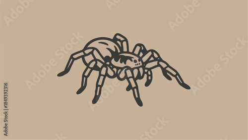 Detailed illustration of a spider showcasing its intricate features and eight legs.