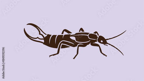 Earwig insect vector illustration on a light background.