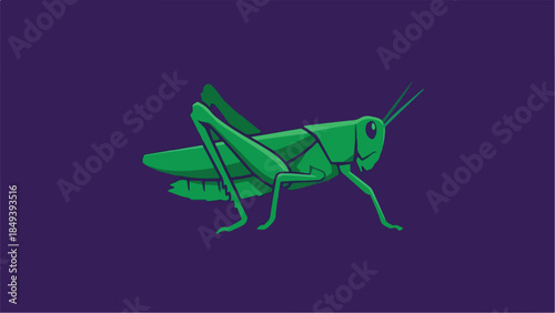 Green grasshopper on a solid purple background side view simple illustration.