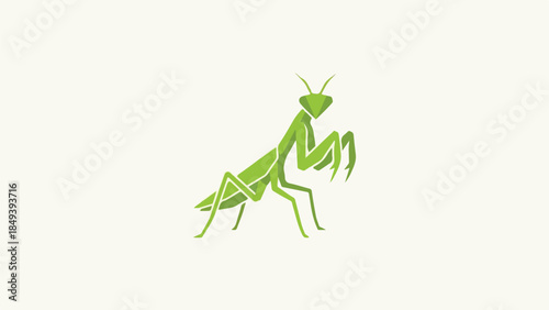 Green praying mantis illustration on a light background.