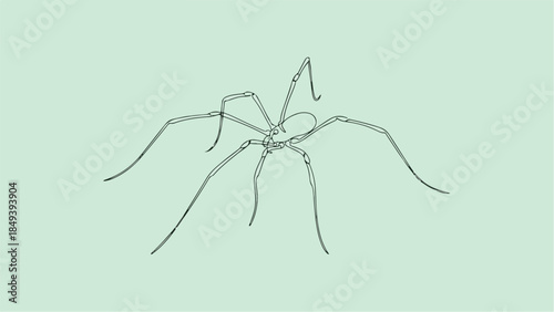 Minimalist Line Art Drawing of a Spider on a Light Green Background.