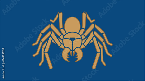 Solifugae spider on a blue background.