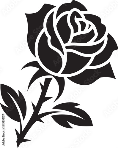 Black rose with thorny stem and leaves flower white