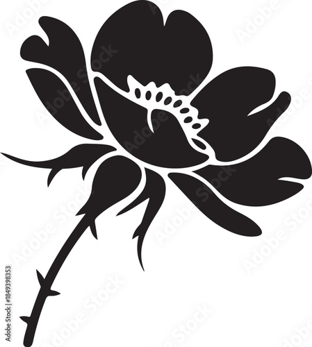 Black silhouette of a rose with thorns flower white