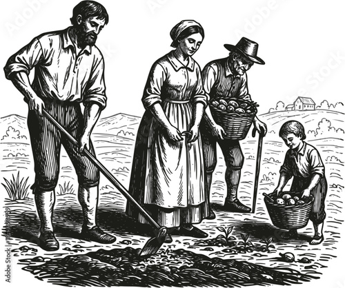 Vintage woodcut illustration of a rural family harvesting crops in a field. Manual agriculture scene with farmers using hoes and baskets, isolated on white. Retro historical farming life.