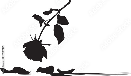 Black silhouette of a wilting rose with fallen petals