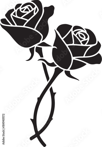 Two black roses with thorny stems intertwined flower