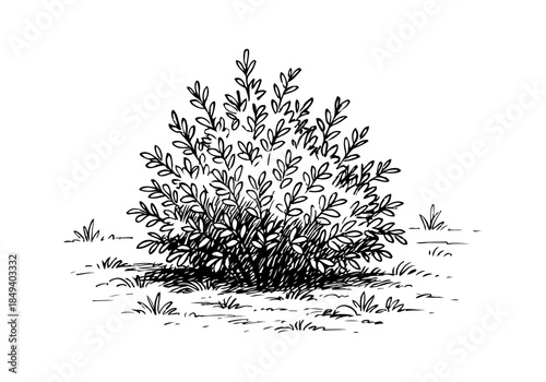 Bush cluster hand drawn simple sketch vector illustration