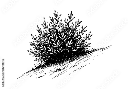 Bush cluster hand drawn simple sketch vector illustration