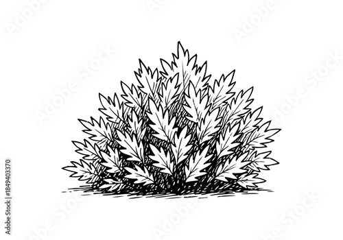 Bush cluster hand drawn simple sketch vector illustration