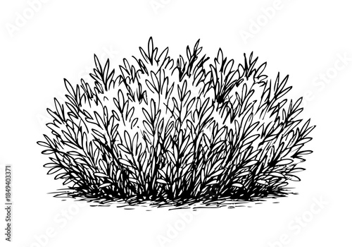 Bush cluster hand drawn simple sketch vector illustration