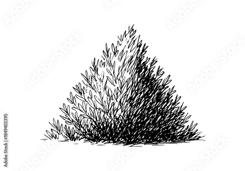 Bush cluster hand drawn simple sketch vector illustration