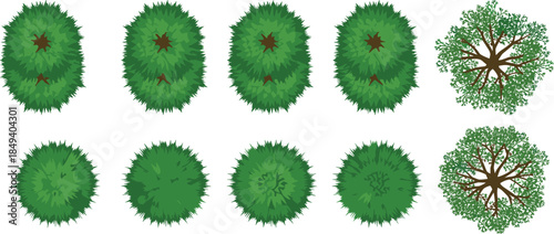 Top view green tree collection, vector forest canopy set, isolated deciduous trees, aerial landscape elements, urban park design, map symbols, flat nature illustration