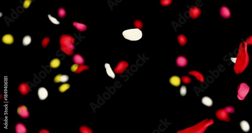 Colorful rose petals sway in the wind. Isolated on black background. 4K 3D rendering loop animation.