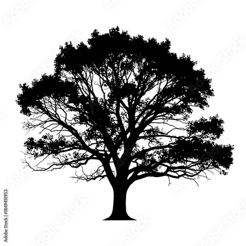 Oak Tree Silhouette Forest Nature Plant Black Silhouette Vector Icon Isolated on White Background for Landscape Design