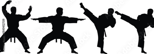 Dynamic black silhouettes of martial arts fighters performing high kicks and karate stances, isolated vector set for sports logo design.
