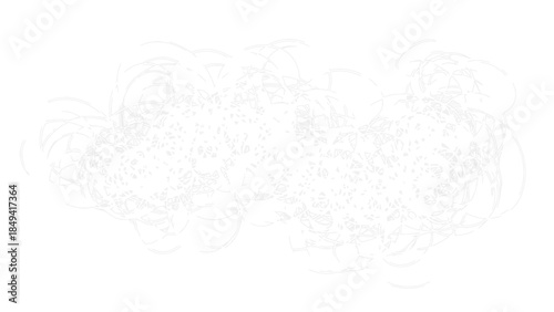 Abstract white background with subtle light grey scribbles and swirling lines creating a minimalist and ethereal visual texture.