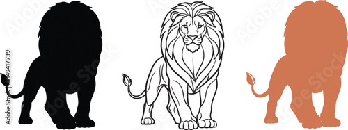 Lion Silhouette Line Art and Color Vector Set Wildlife Animal Illustration