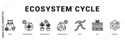 Ecosystem Cycle Modern and clean web banner illustration featuring thematic icons for visual communication