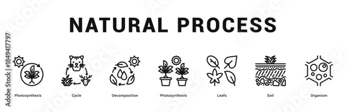 Natural Process Modern and clean web banner illustration featuring thematic icons for visual communication
