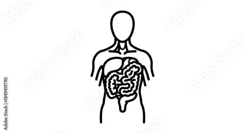 Minimalist line art icon showing the human digestive tract within a body silhouette, ideal for health, medical, and scientific representations