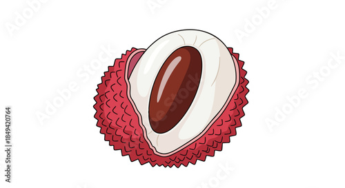 Vibrant lychee fruit illustration with textured crimson skin peeled to reveal its translucent white aril and glossy dark seed for a fresh tropical