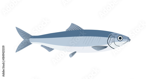 A sleek graphic illustration of a marine fish, showcasing its elegant blue-grey body, distinct fins, and tranquil eye. This art embodies aquatic