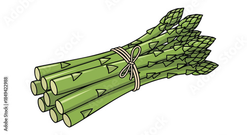 A vibrant illustration showcasing a tied bundle of fresh green asparagus stalks on a clean white background, ideal for healthy eating concepts and