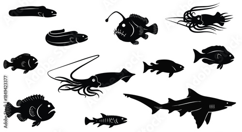 Diverse aquatic creatures in striking black silhouette illustrations showcasing marine life