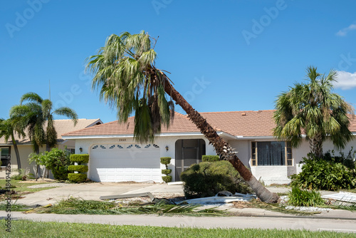 Tree removal after hurricane damage to palm tree in Florida home backyard. Fallen down debris after strong tropical storm winds. Consequences of natural disaster