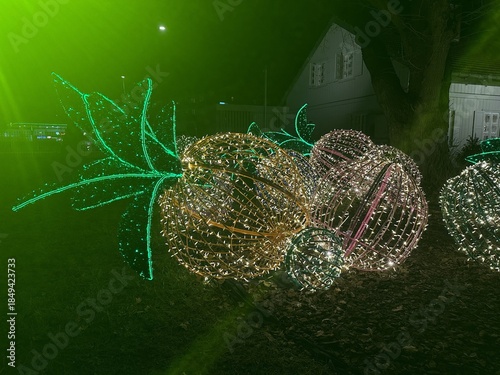 Warsaw, Poland - December 18, 2025: Colorful illuminated fruit decorations made of lights at night, showcasing vibrant holiday spirit and festive atmosphere in a park setting