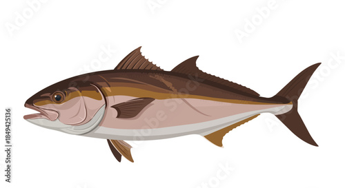 Vibrant vector illustration showcasing a streamlined marine fish species with an appealing brown and pink color palette depicted in a realistic flat