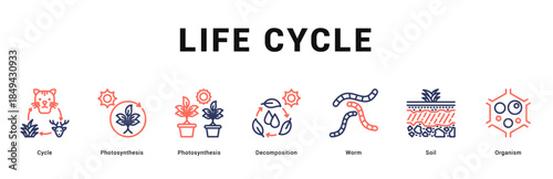 Life Cycle Modern and clean web banner illustration featuring thematic icons for visual communication